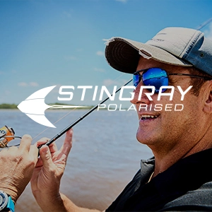 Stingray Sunglasses: spot the difference